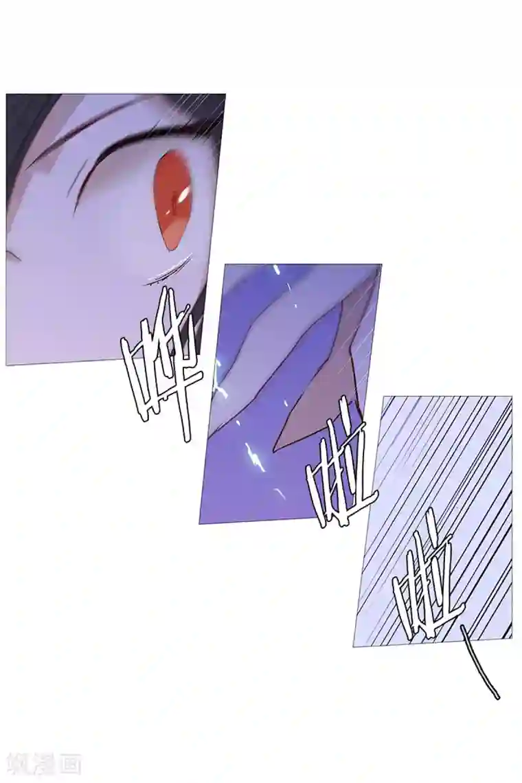 动物灵魂管理局第26话 找到你了