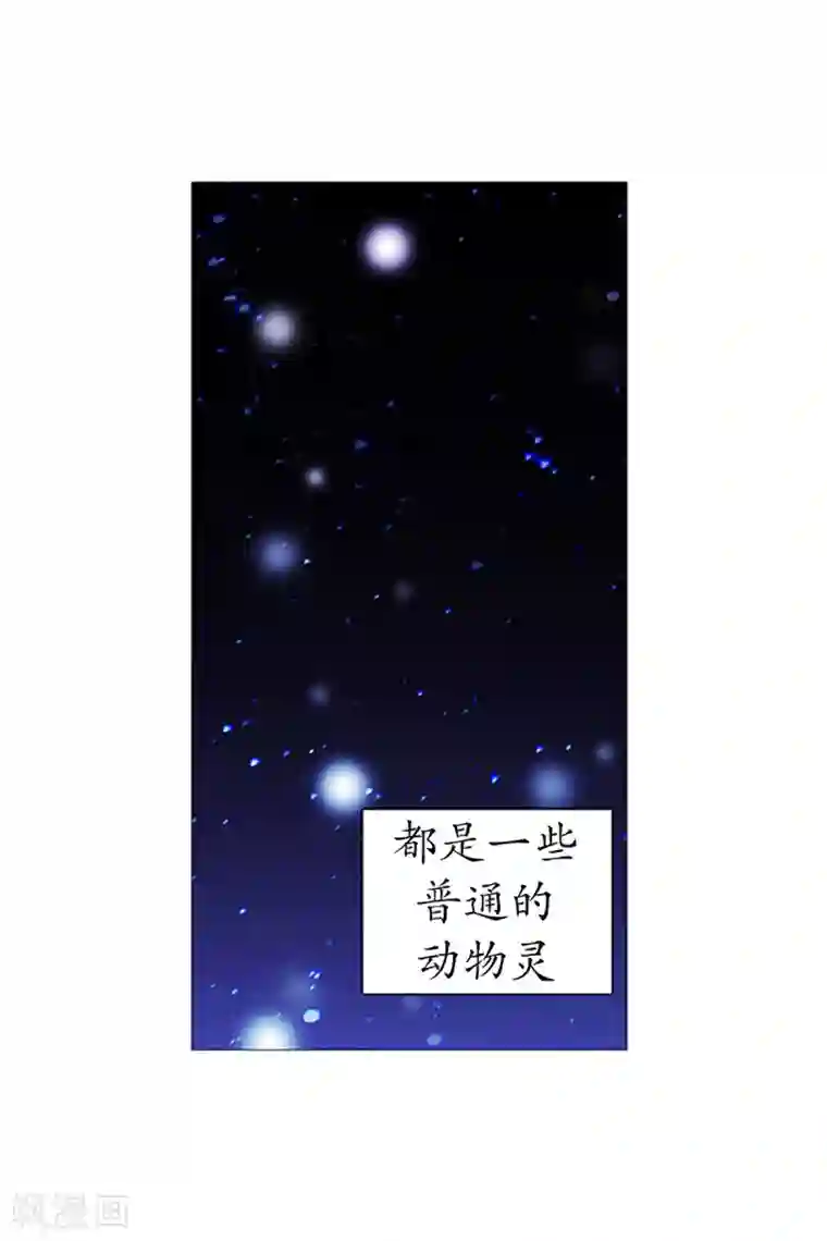 动物灵魂管理局第26话 找到你了