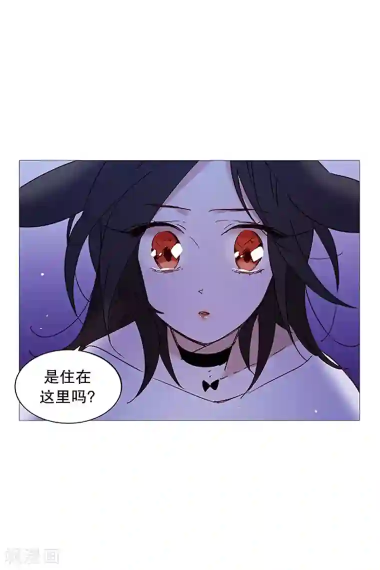 动物灵魂管理局第26话 找到你了
