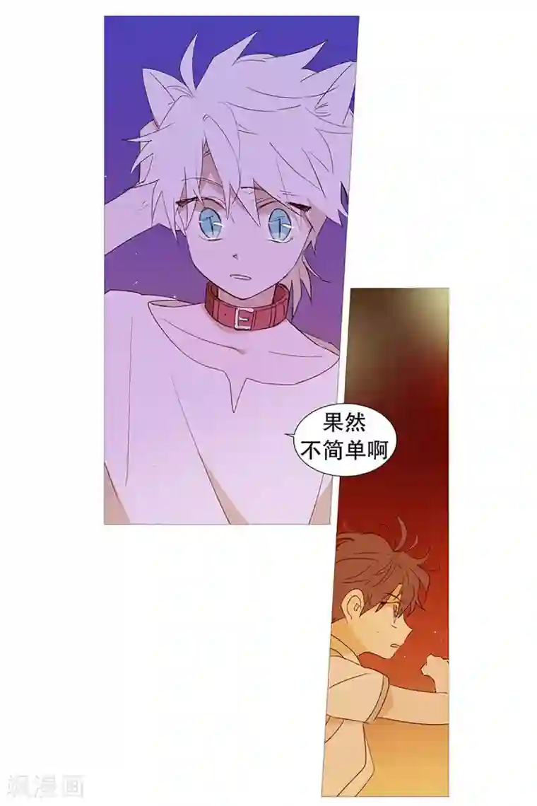 动物灵魂管理局第27话 相似