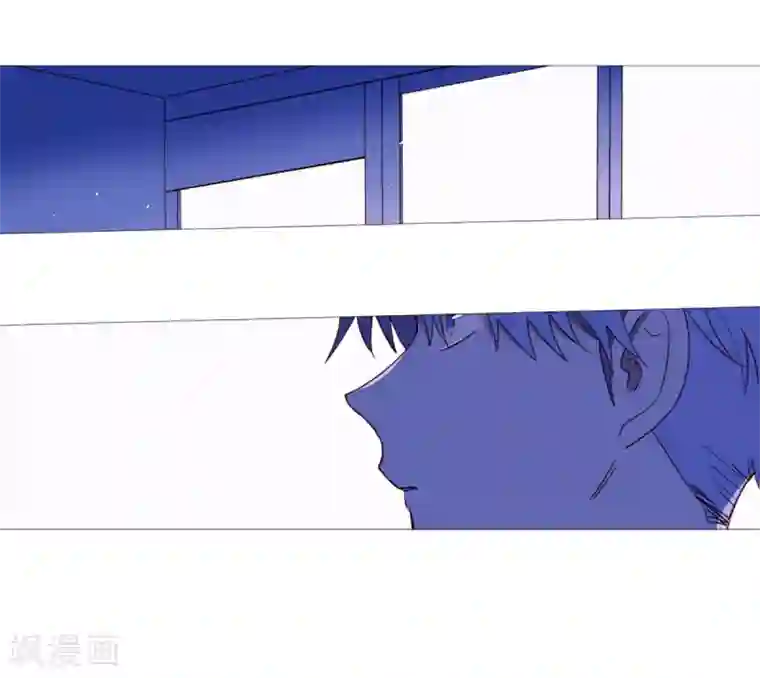 动物灵魂管理局第28话 寻找