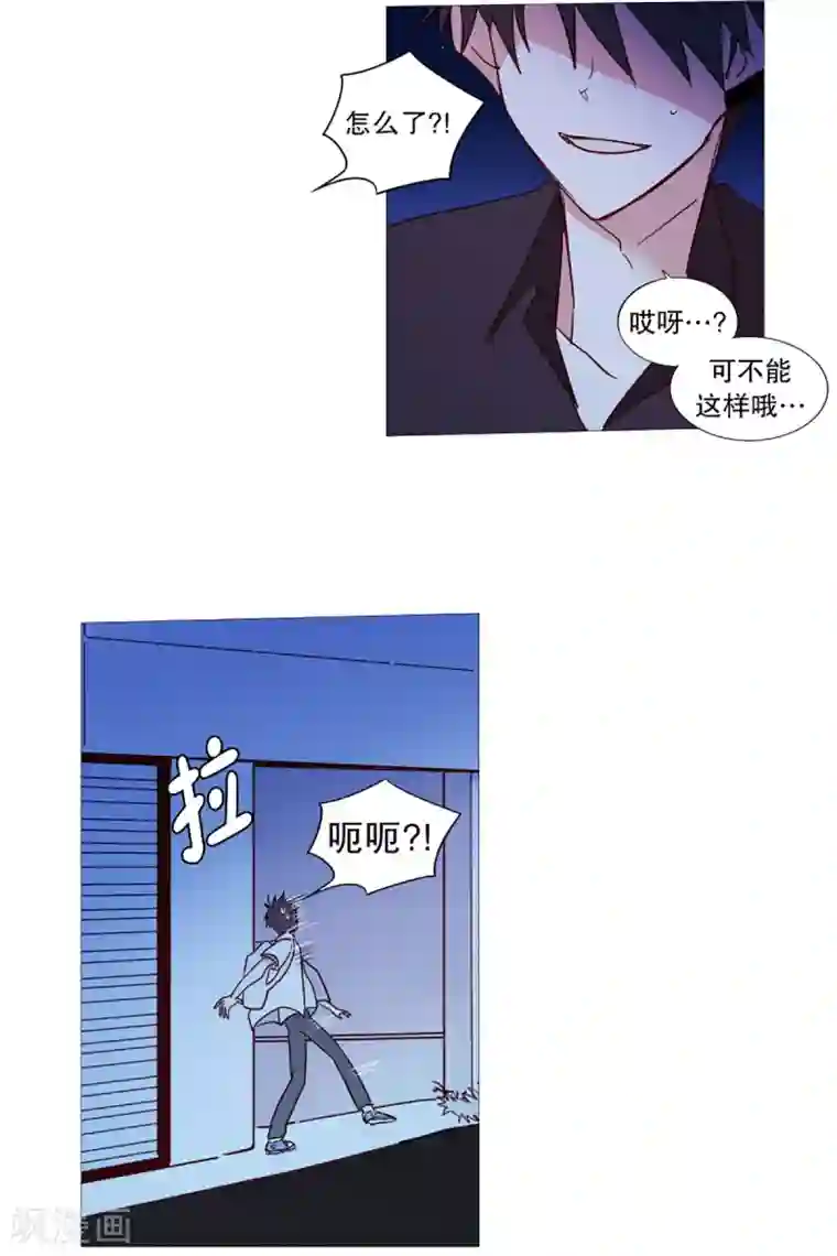 动物灵魂管理局第28话 寻找
