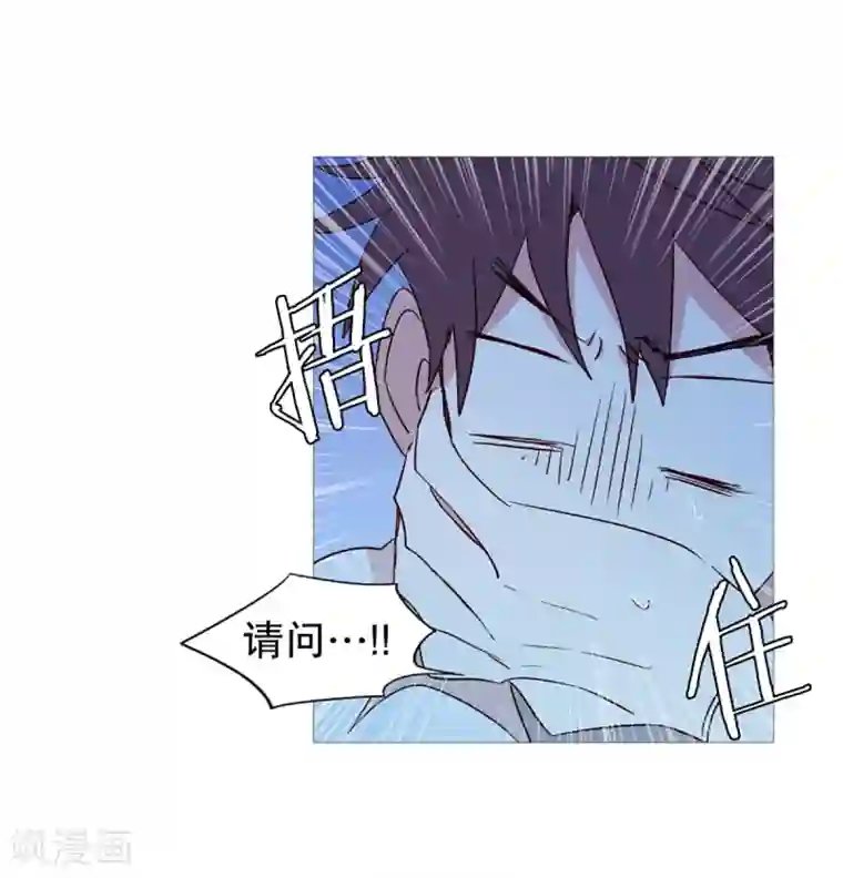 动物灵魂管理局第28话 寻找