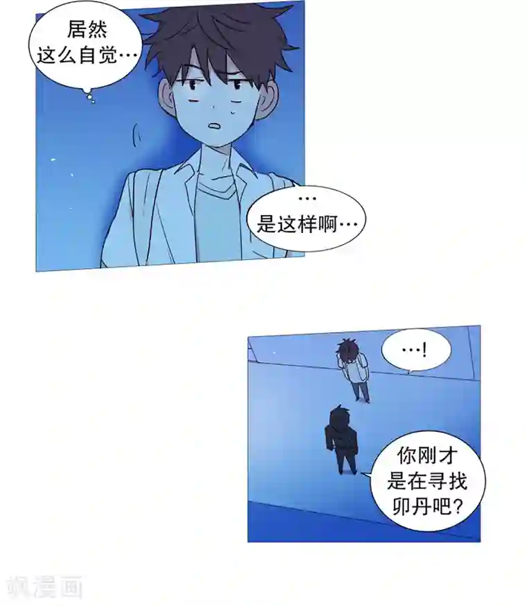 动物灵魂管理局第28话 寻找