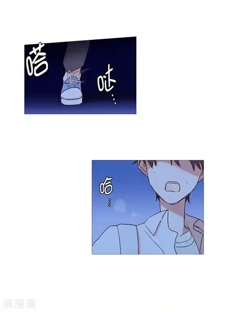 动物灵魂管理局第28话 寻找