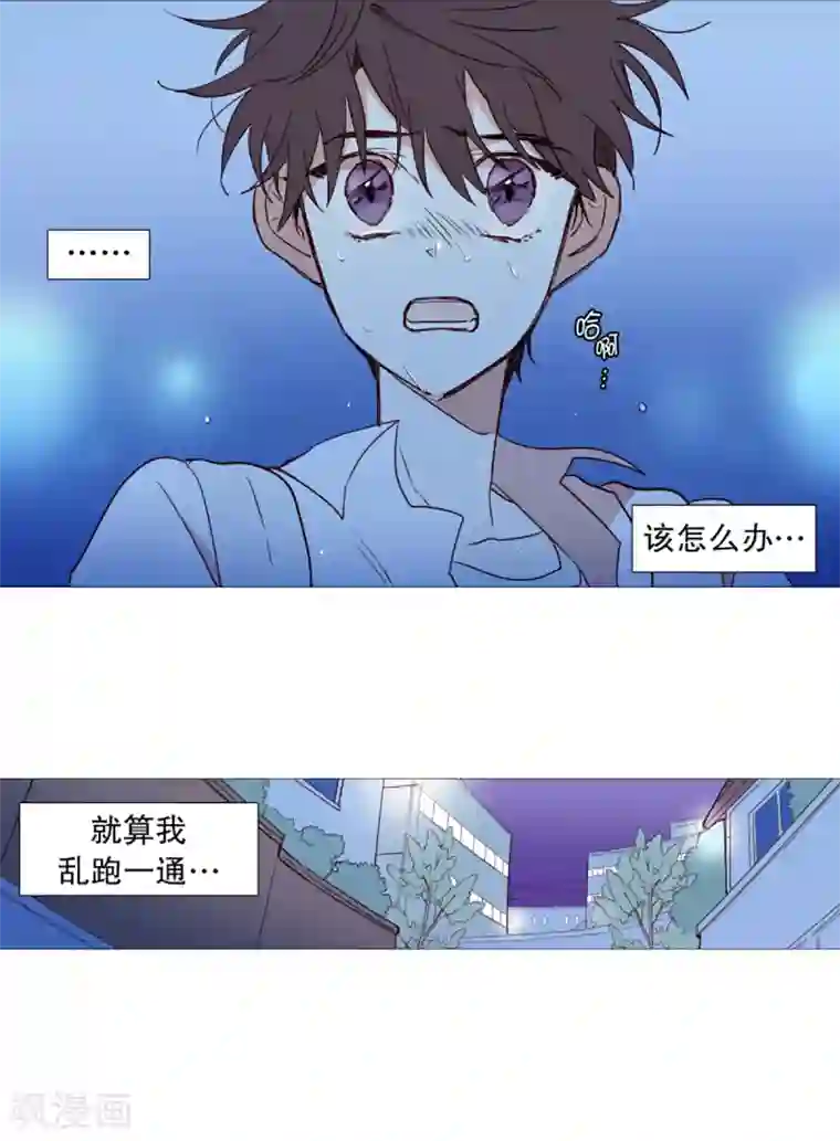 动物灵魂管理局第28话 寻找