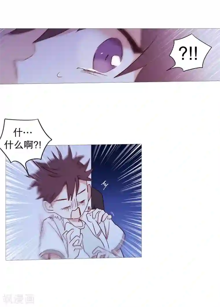 动物灵魂管理局第28话 寻找