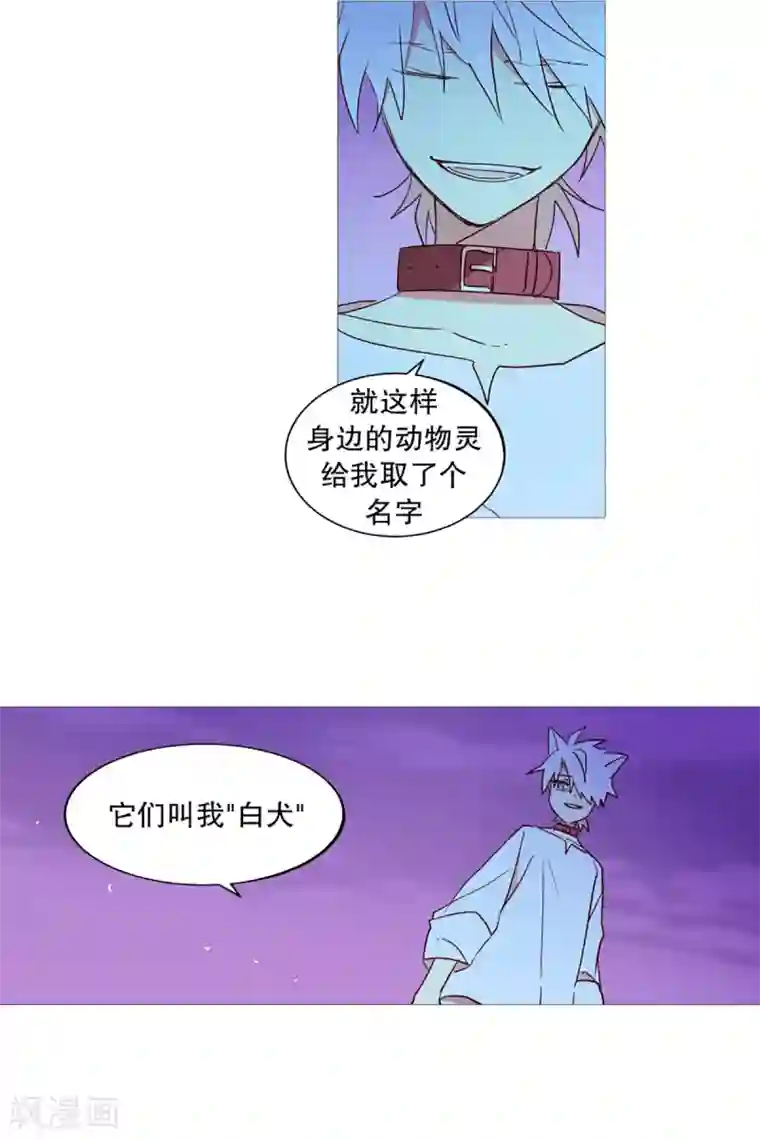 动物灵魂管理局第29话 我的名字