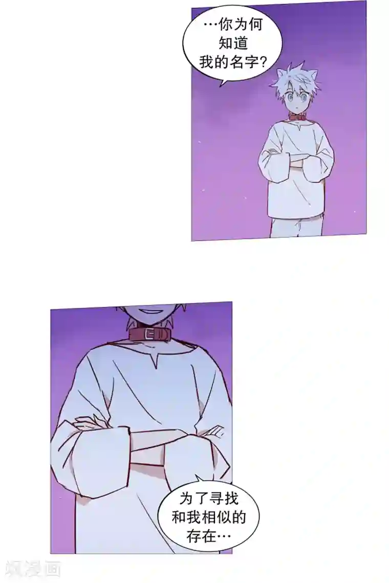 动物灵魂管理局第29话 我的名字