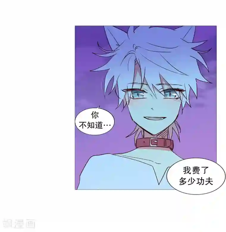 动物灵魂管理局第29话 我的名字