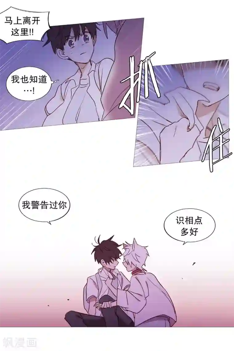 动物灵魂管理局第30话 主角降临