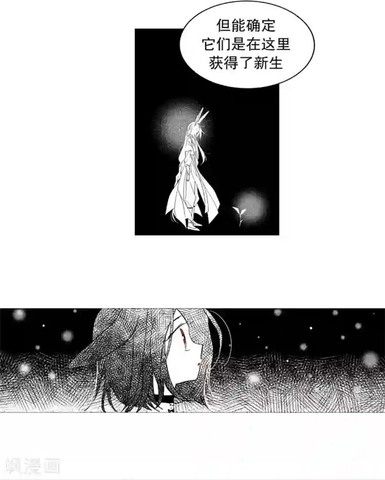 动物灵魂管理局第30话 主角降临