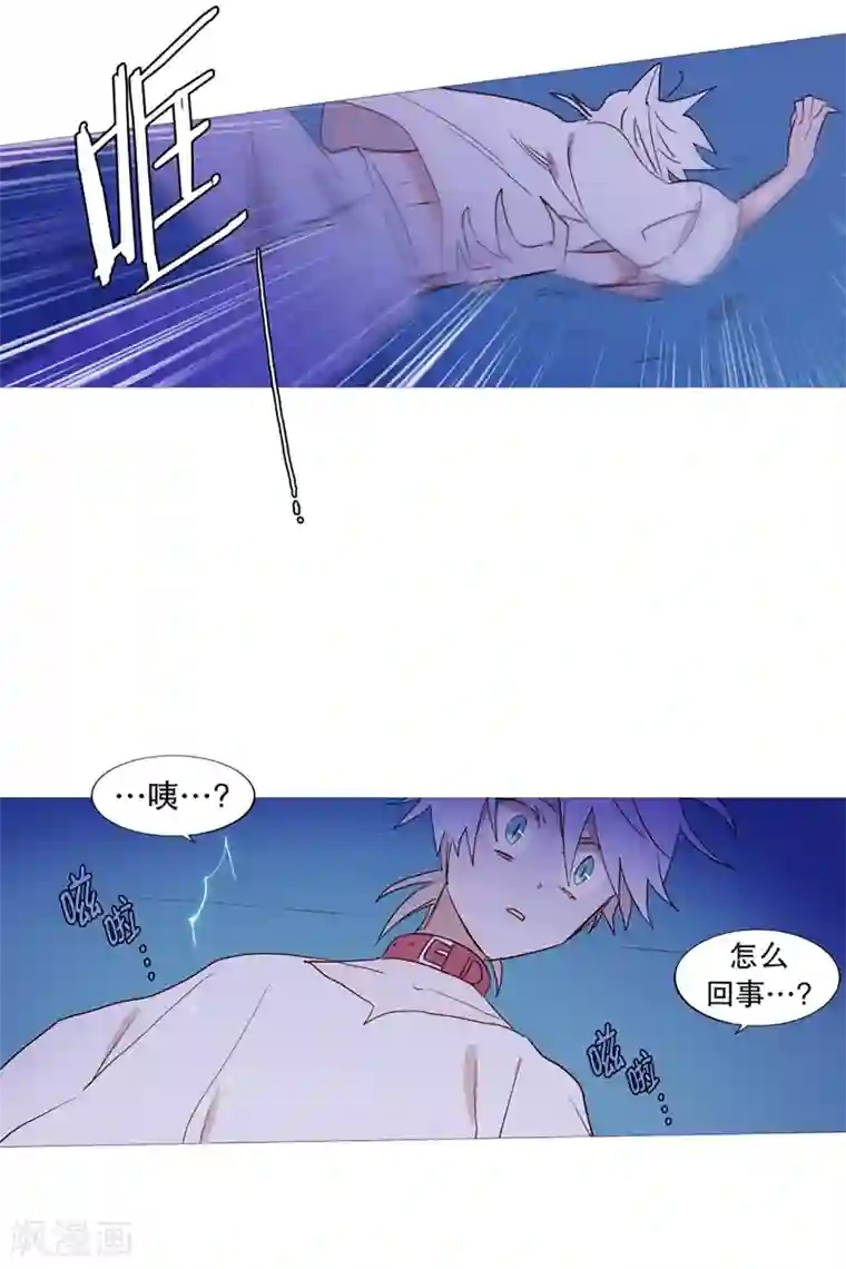 动物灵魂管理局第31话 绳结的力量