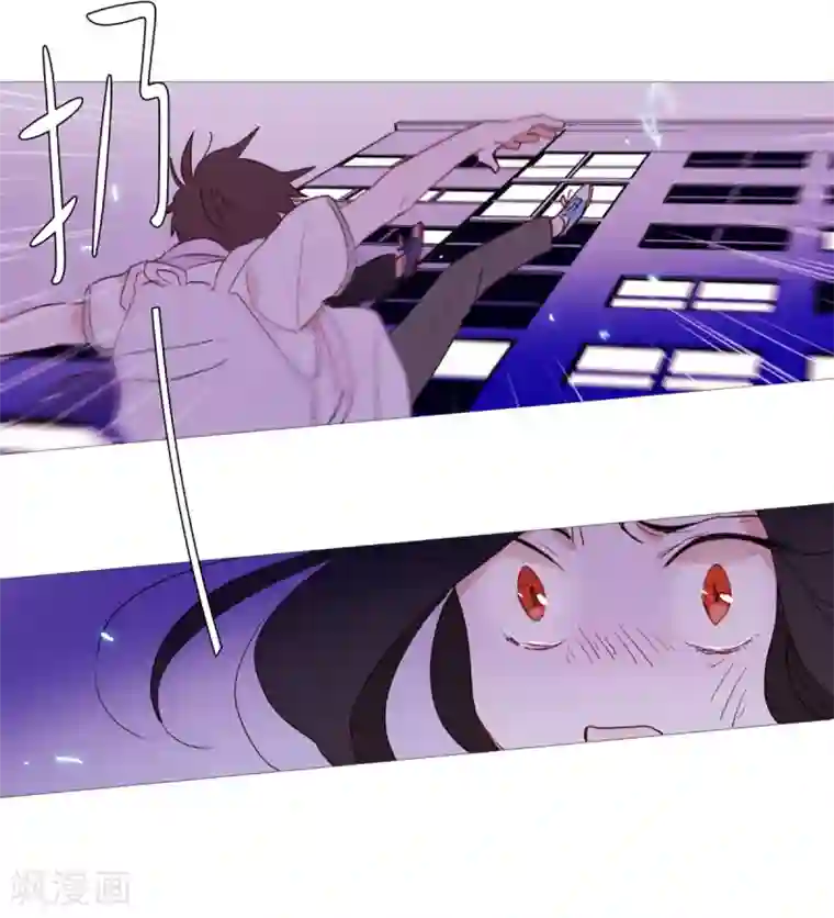 动物灵魂管理局第31话 绳结的力量