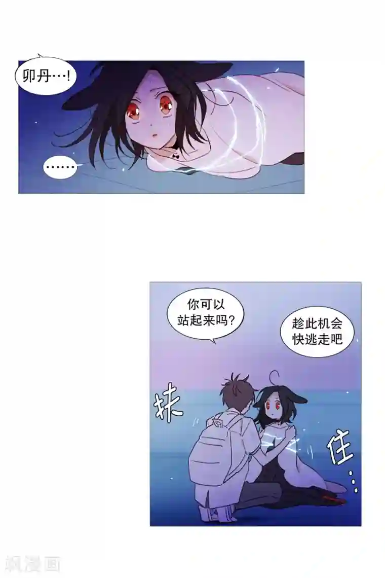 动物灵魂管理局第31话 绳结的力量