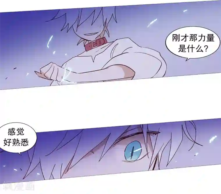 动物灵魂管理局第31话 绳结的力量