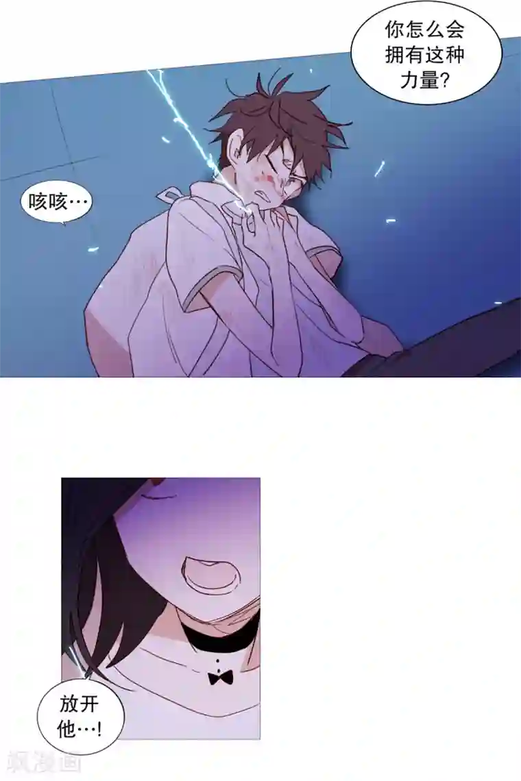 动物灵魂管理局第31话 绳结的力量