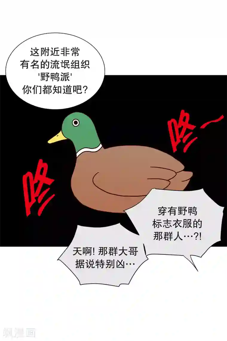 走进少女的心第28话 转校生是传奇人物1