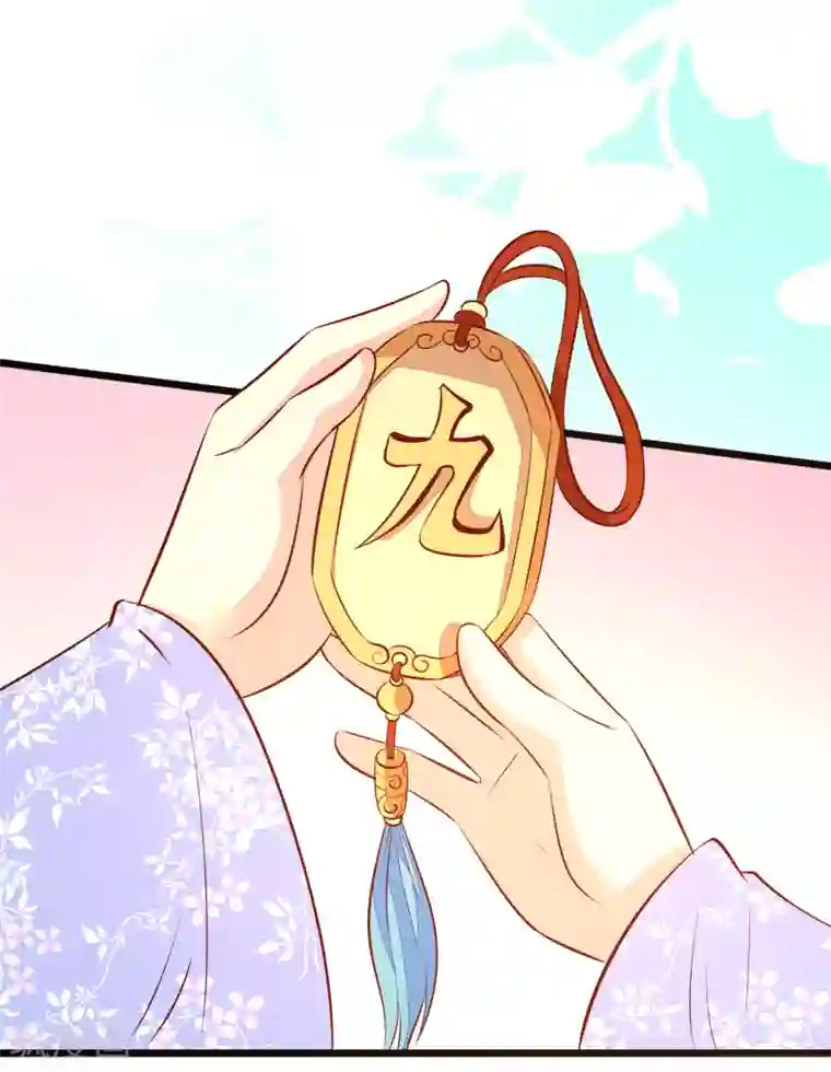 帝凰之神医弃妃第53话 九州令牌