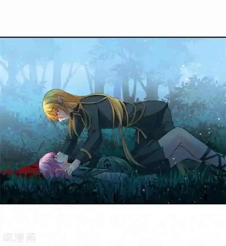 寻找前世之旅第471话 遇险2