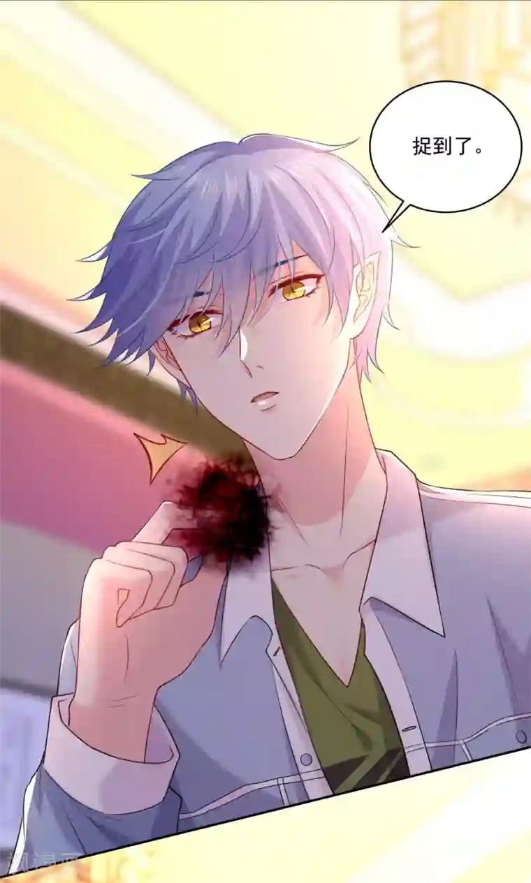 明星是血族第233话 三个人的房间好拥挤