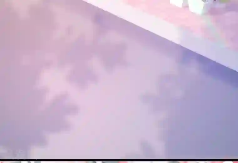 渣男总裁别想逃第204话 你难道在打我的主意？