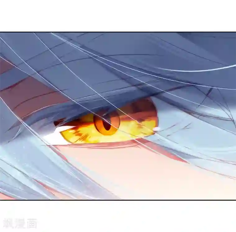 斗罗大陆3龙王传说第276话 重返史莱克学院2