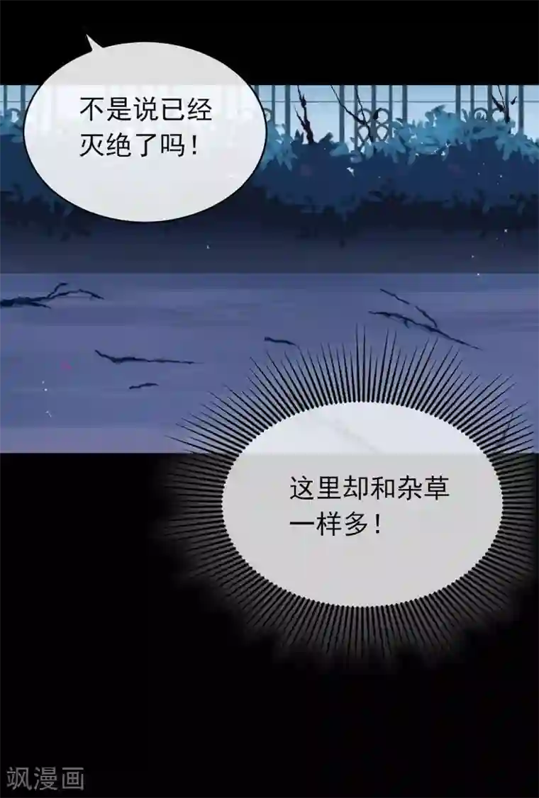 我与玛丽苏女主抢男友第72话 真爱奇迹