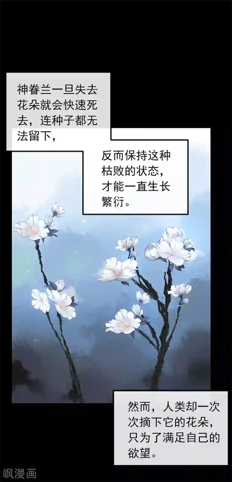 我与玛丽苏女主抢男友第72话 真爱奇迹