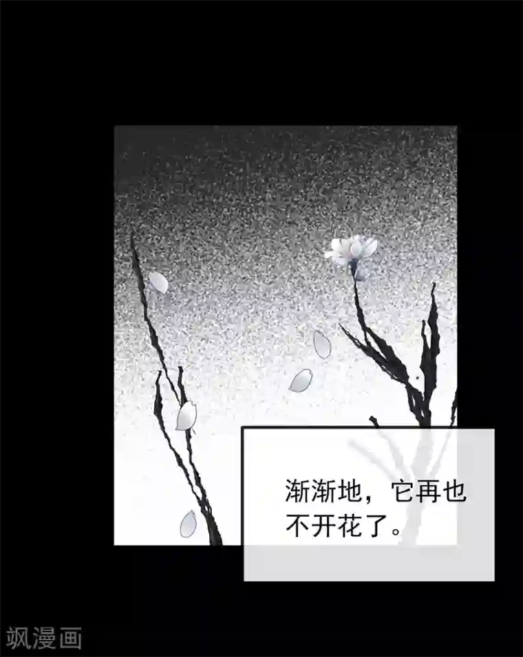 我与玛丽苏女主抢男友第72话 真爱奇迹