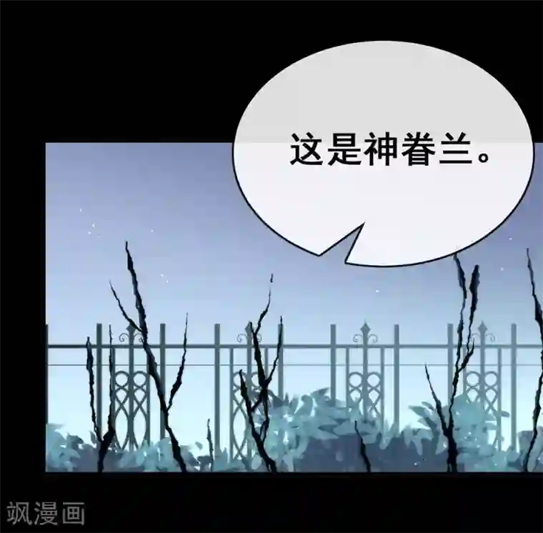 我与玛丽苏女主抢男友第72话 真爱奇迹