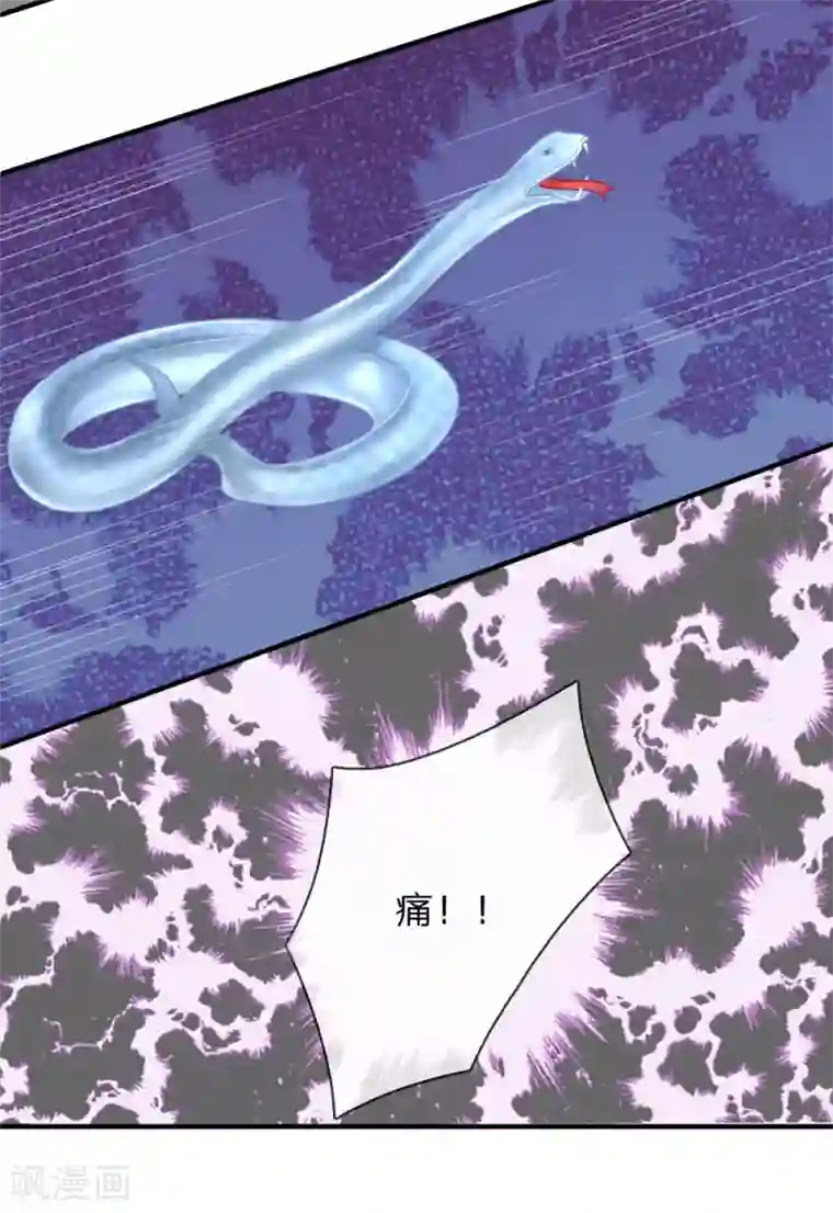 重生之影后谋略第222话 毒蛇出没