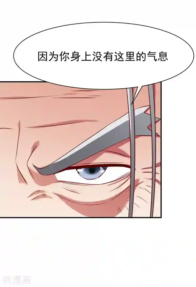 战鼎第136话 内息丹