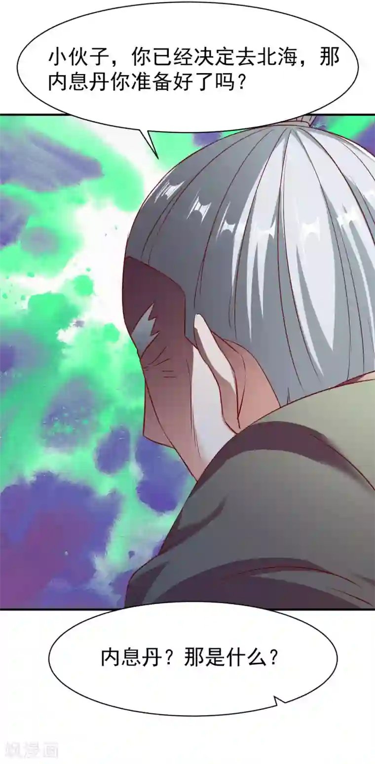 战鼎第136话 内息丹