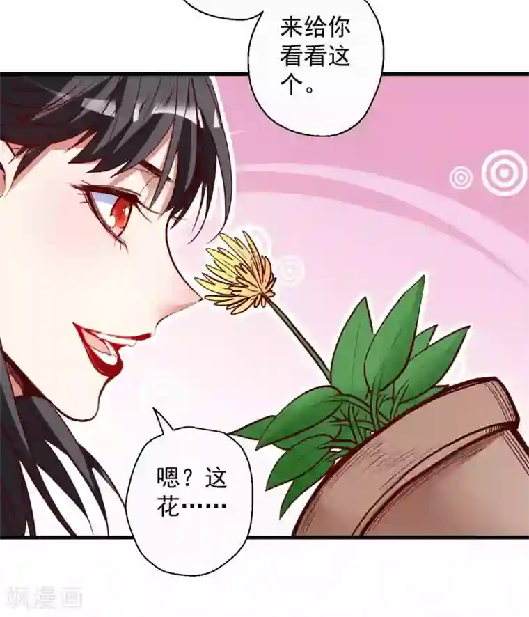 地表最强黄金肾第87话 简单粗暴破禁制