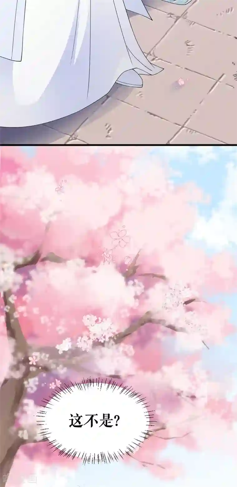 桑落醉在南风里第23话 上门拜访