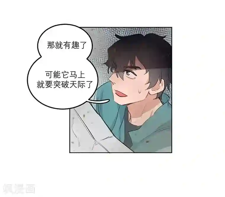 合梦第13话