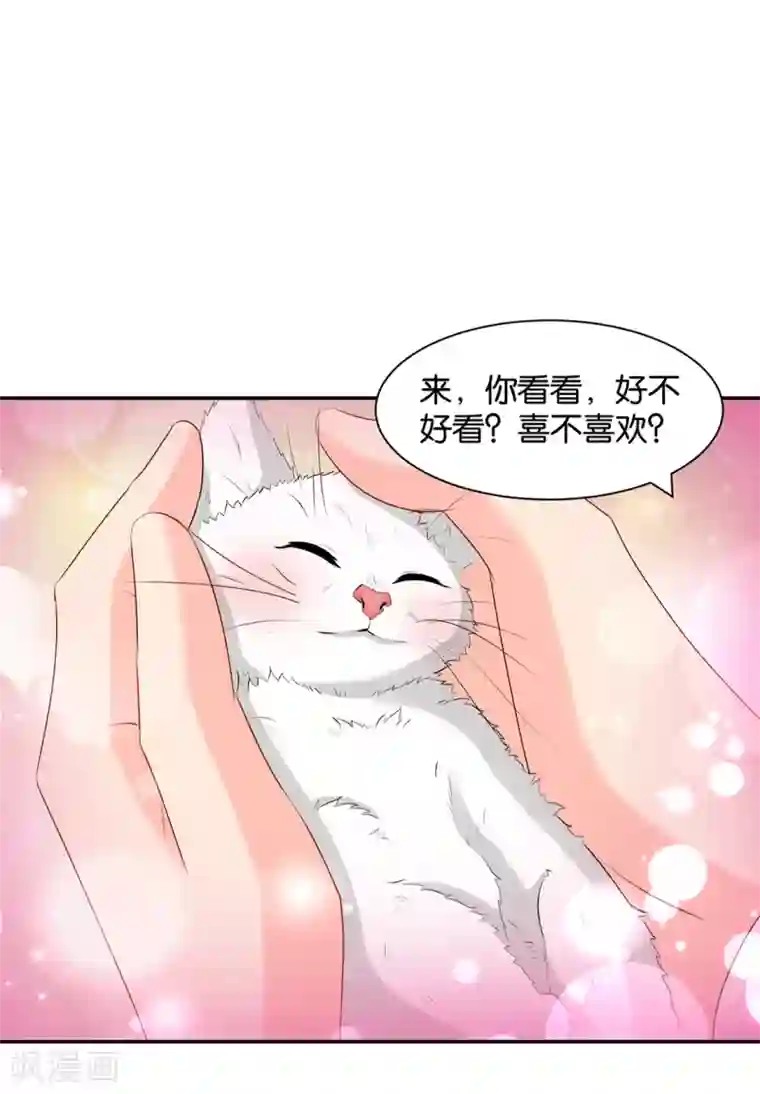 绝色医妃第168话 傻瓜楚定北