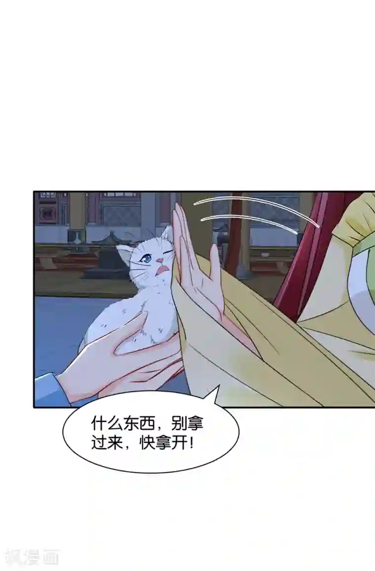 绝色医妃第169话 青岚骂七七