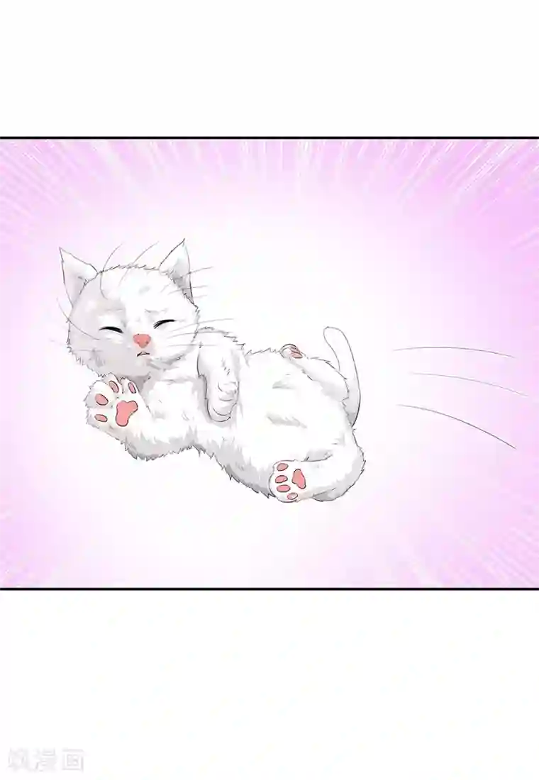 绝色医妃第169话 青岚骂七七