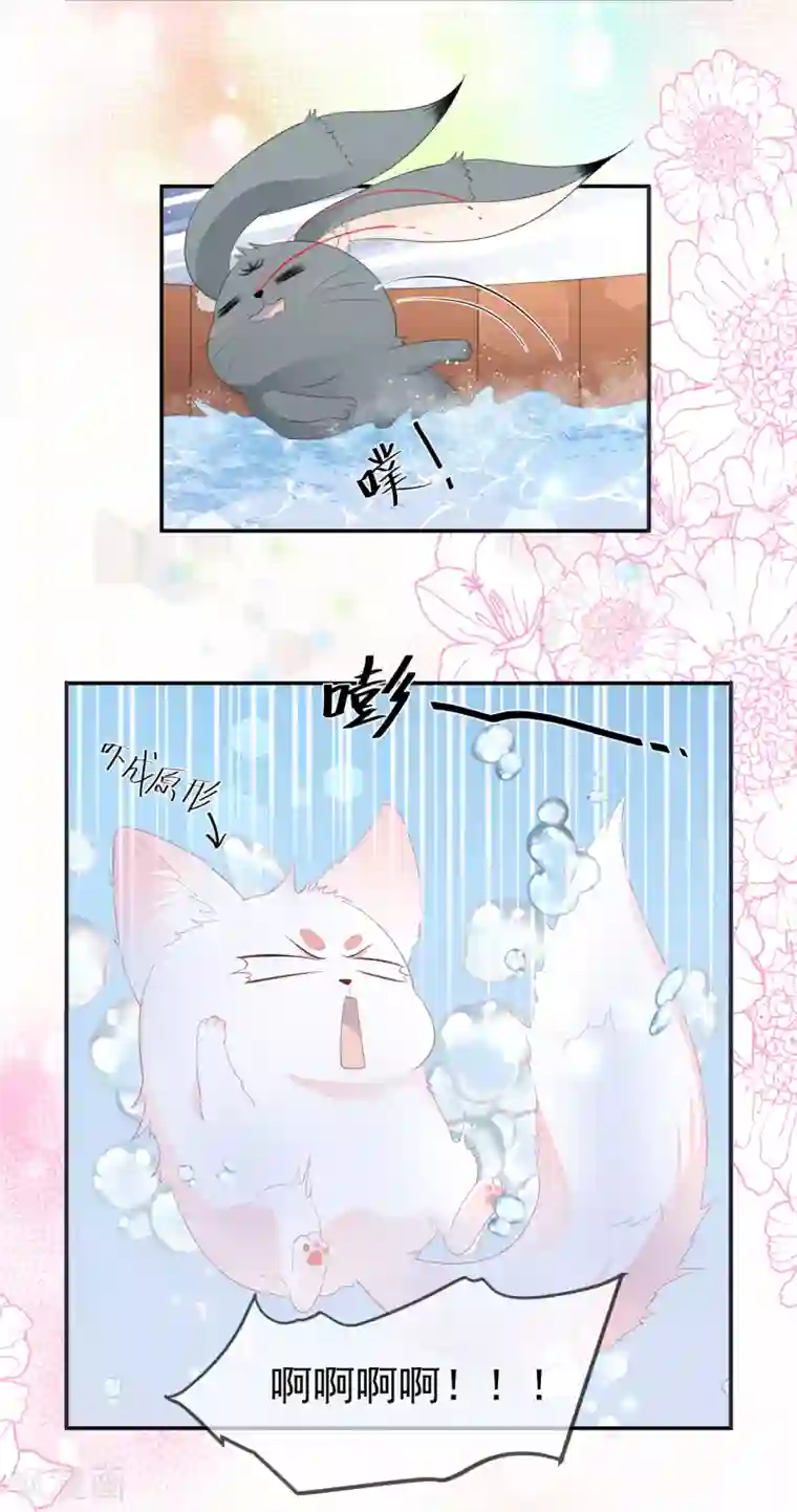 权妃之帝医风华停更公告