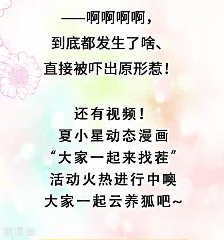 权妃之帝医风华停更公告