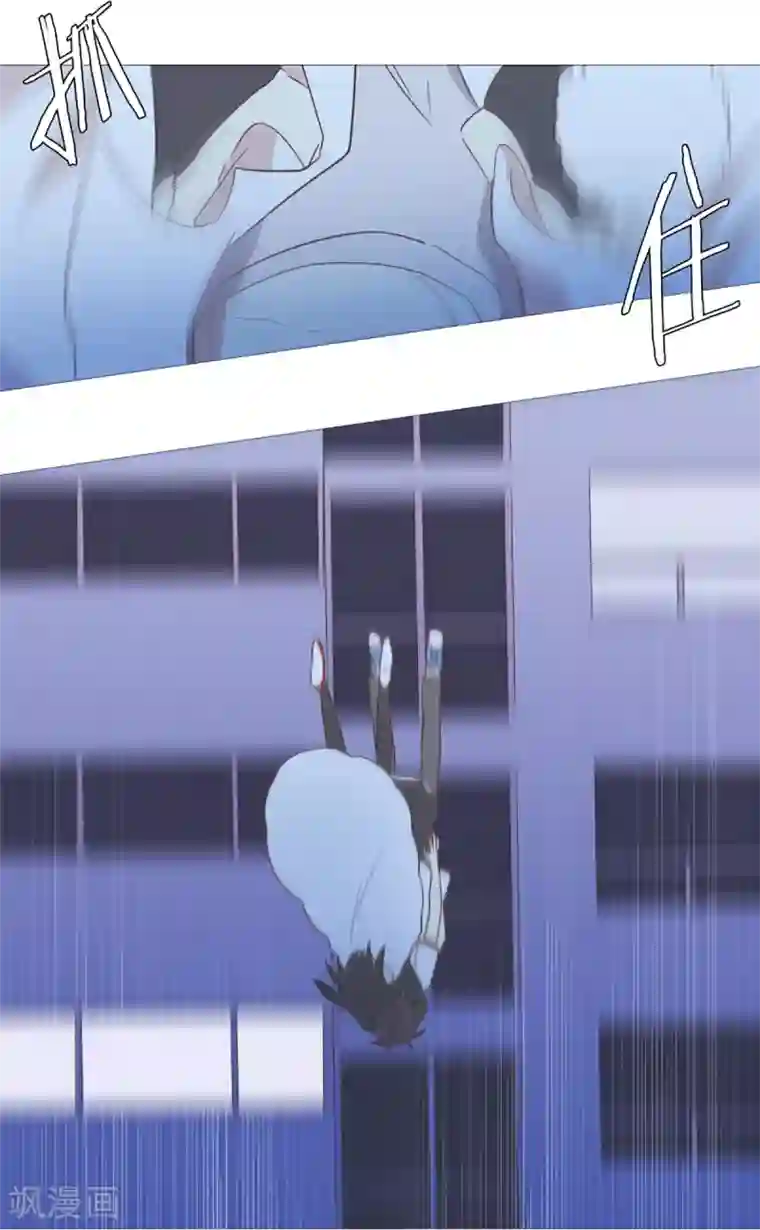 动物灵魂管理局第32话 逃离