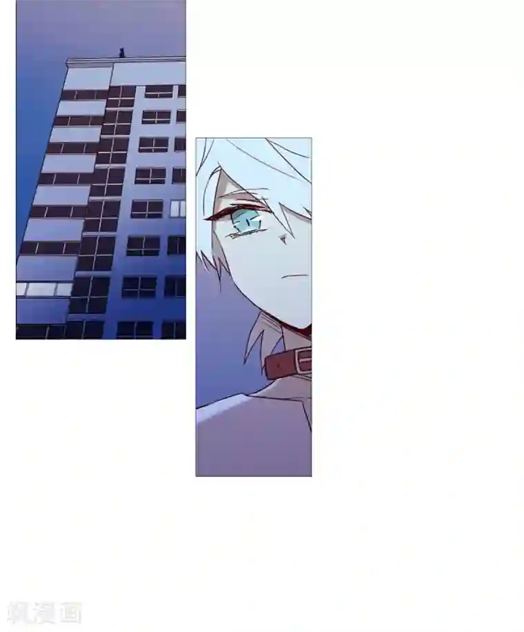 动物灵魂管理局第32话 逃离