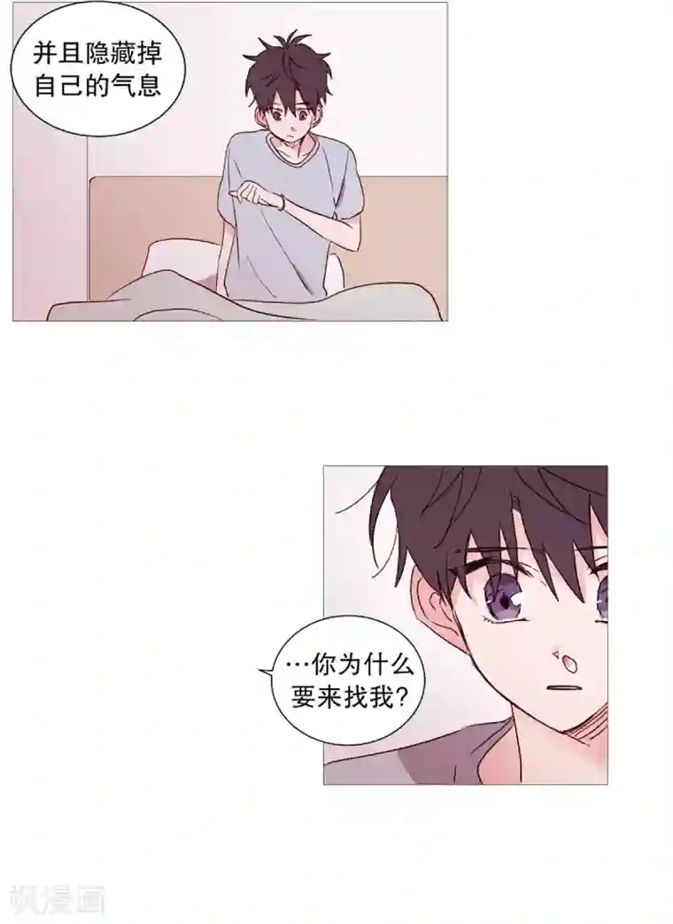 动物灵魂管理局第33话 人类的形态