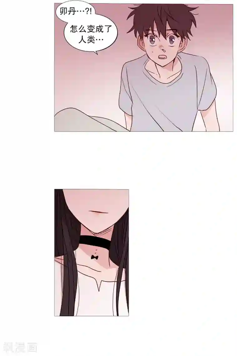 动物灵魂管理局第33话 人类的形态