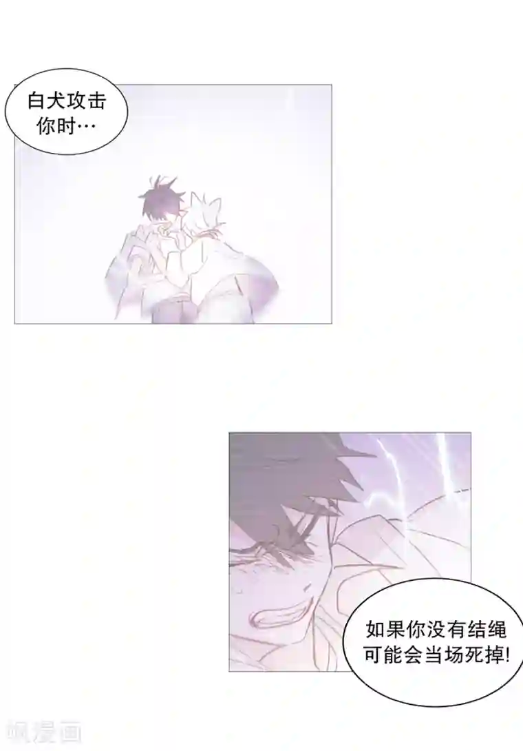 动物灵魂管理局第34话 以后的打算