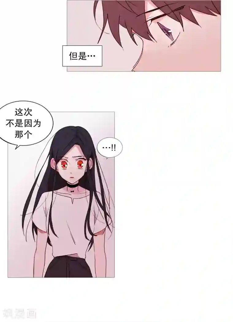 动物灵魂管理局第34话 以后的打算