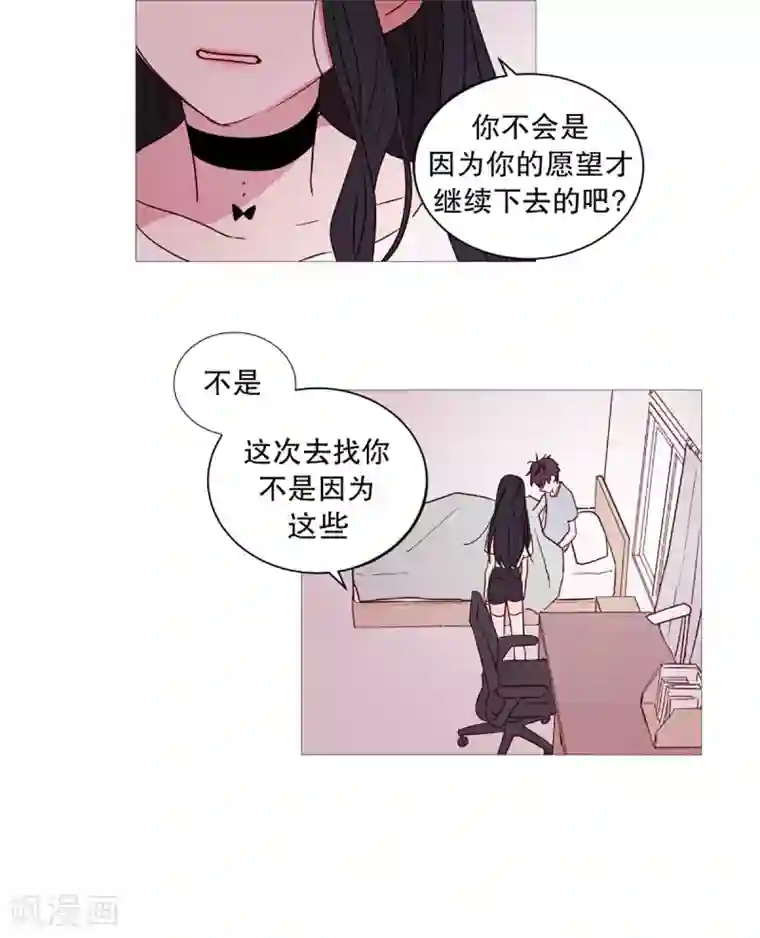 动物灵魂管理局第34话 以后的打算