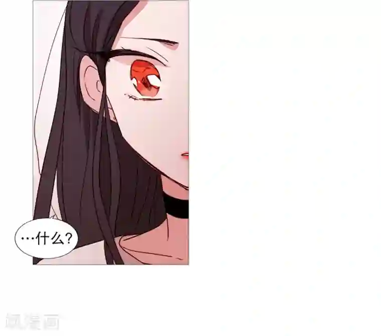 动物灵魂管理局第34话 以后的打算
